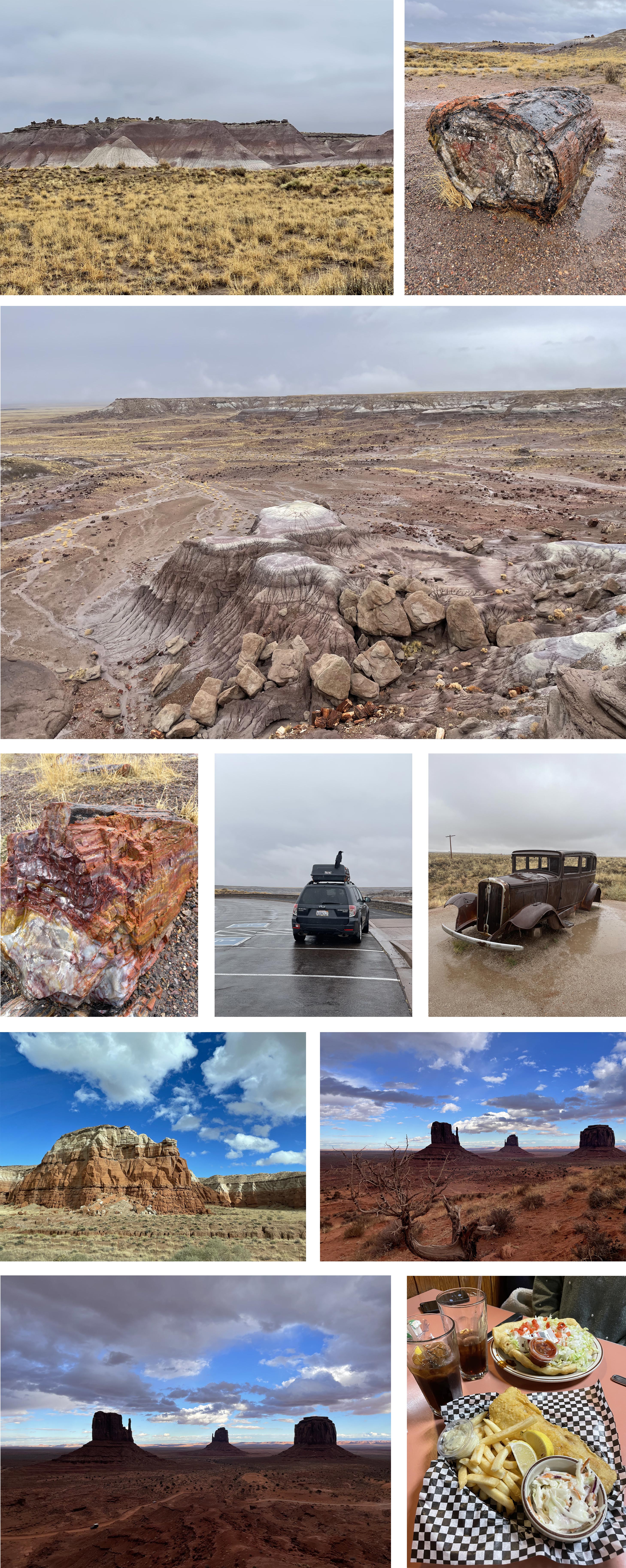 mosaique de photos illustrant le texte au dessus