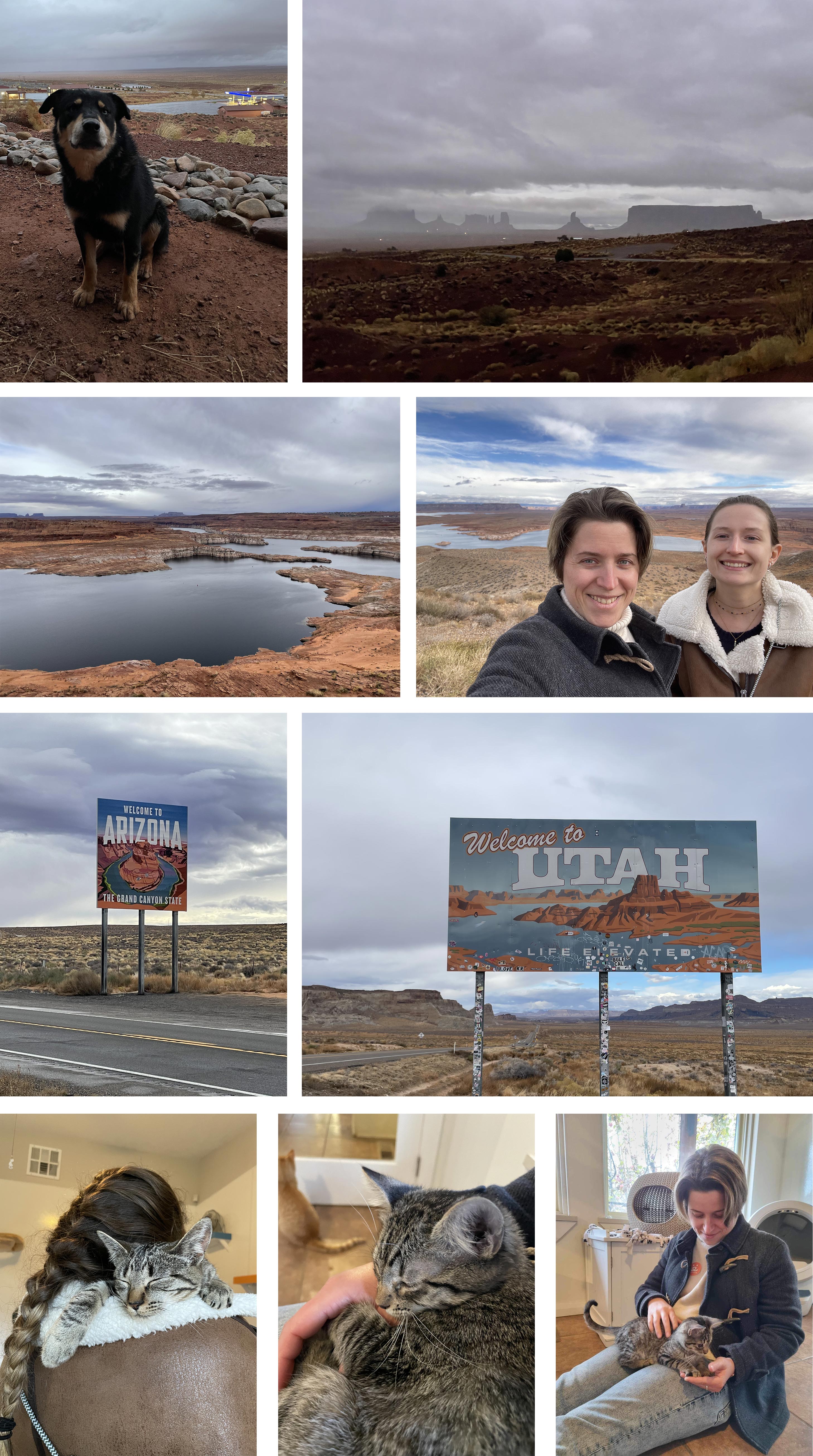 mosaique de photos illustrant le texte au dessus